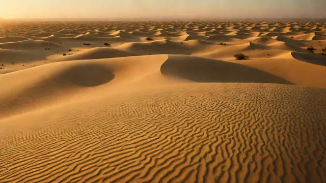 Desert at dawn, textured dunes, soft light, vast emptiness