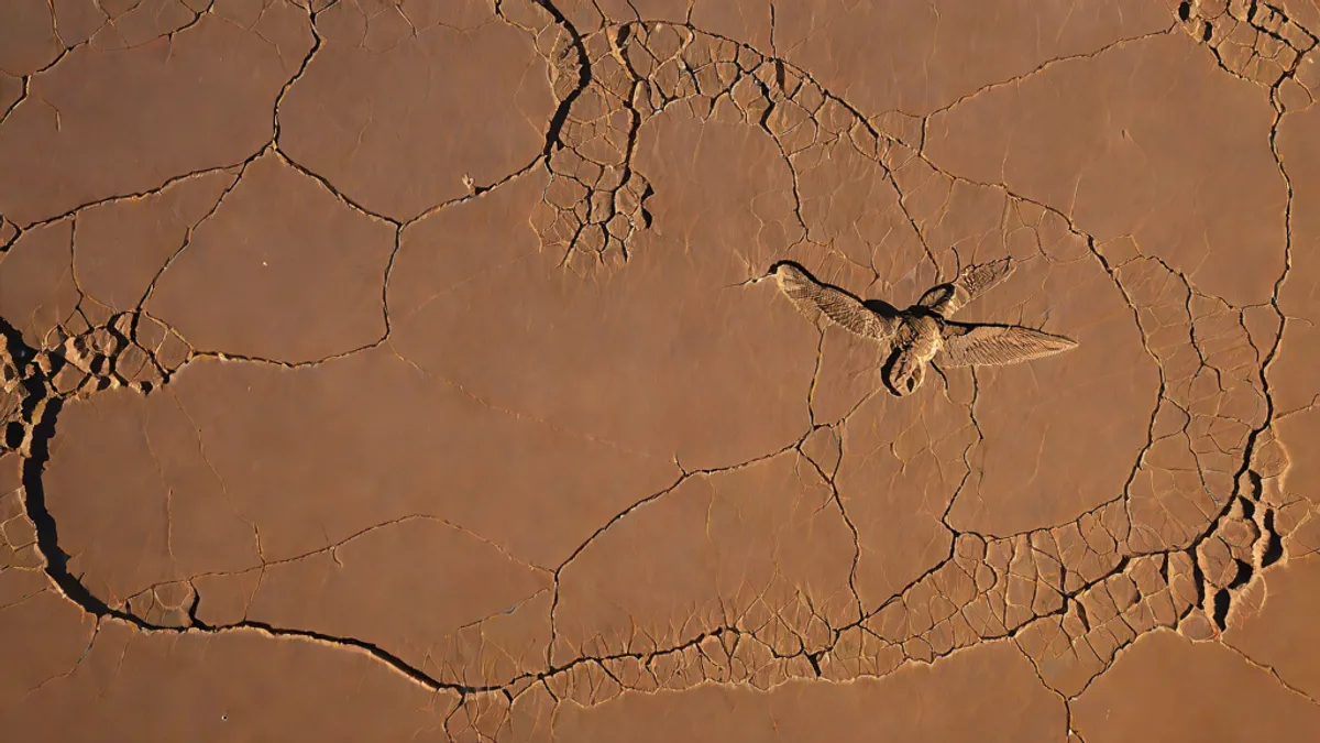 Vista aérea del geoglifo del Colibrí grabado en el árido desierto de Nazca en Perú.