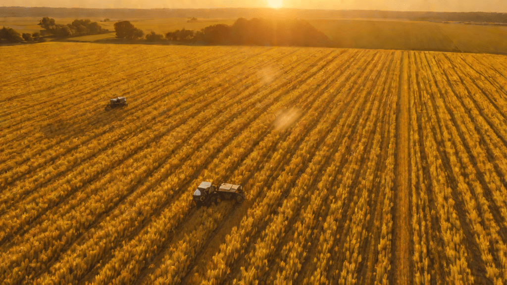 Granja rural al atardecer con tractores autónomos y cosechadoras robóticas